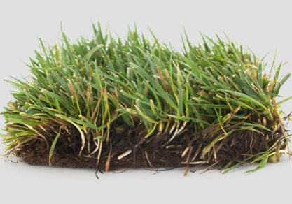 Is-a-house-and-land-package-better-value-than-land-alone