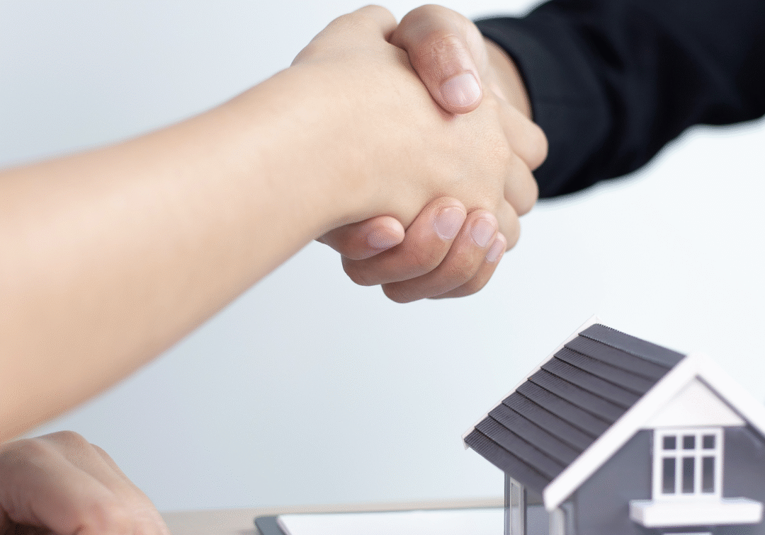 Newsletter 18 Article 2_Essentials_updated