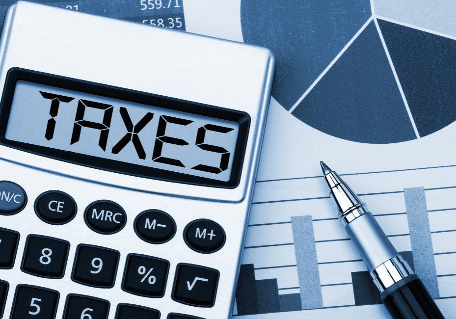 Untitled design (17)